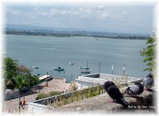 Enlarge photo 16