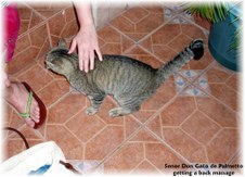 Enlarge photo 8
