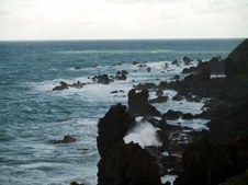Enlarge photo 39