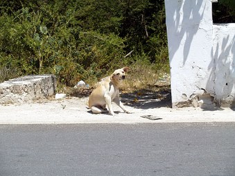 Enlarge photo 14