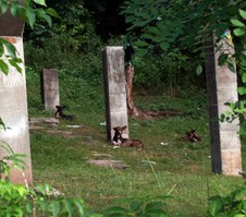 Enlarge photo 39