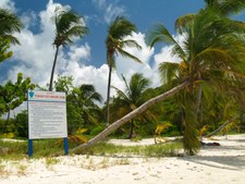 Enlarge photo 33
