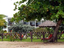 Enlarge photo 53