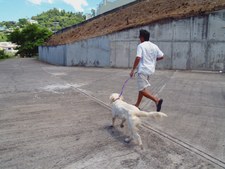 Enlarge photo 14