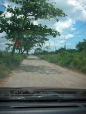 Enlarge photo 37