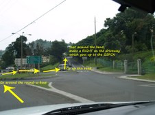 Enlarge photo 4