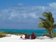 Enlarge photo 32