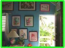 Antigua 2004 - Pelican Studio