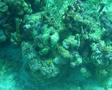 Enlarge photo 17