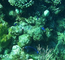 Enlarge photo 18