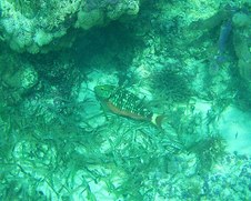 Enlarge photo 19