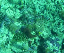 Enlarge photo 24