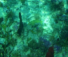 Enlarge photo 11