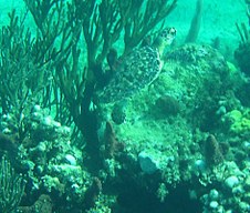 Enlarge photo 28