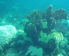 Enlarge photo 31