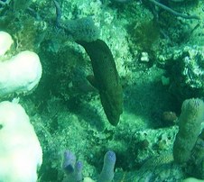 Enlarge photo 33