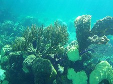 Enlarge photo 30