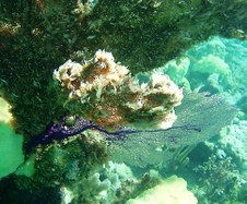 Enlarge photo 29