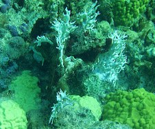 Enlarge photo 36