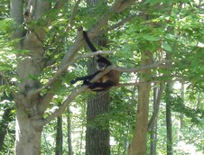 Enlarge photo 22
