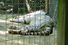 Enlarge photo 32