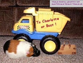 Forum Uploads
