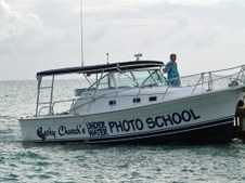 Enlarge photo 31