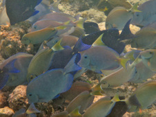 Enlarge photo 21