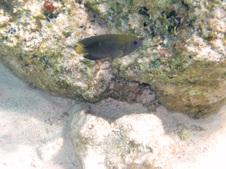 Enlarge photo 23