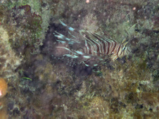 Enlarge photo 32