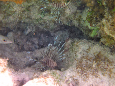 Enlarge photo 34