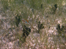 Enlarge photo 38