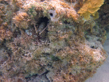 Enlarge photo 47