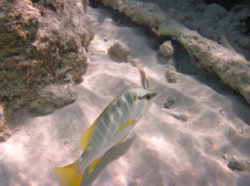 Enlarge photo 16