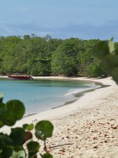 Enlarge photo 16