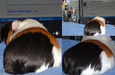 Enlarge photo 28