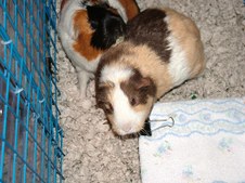 Enlarge photo 3