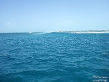 Enlarge photo 36