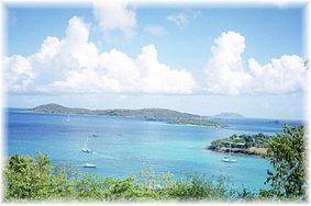 Web USVI