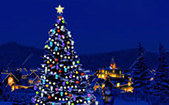 Enlarge photo 26