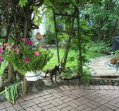 Enlarge photo 4