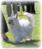 Enlarge photo 31