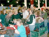 Enlarge photo 30