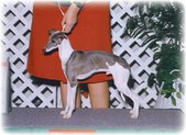 Enlarge photo 37