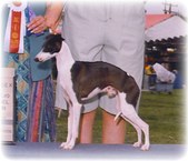 Enlarge photo 24