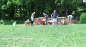 Cranbury/Gallaher