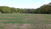 Fields/Lawns