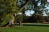 Waveny Park