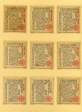 Enlarge photo 24