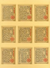 Enlarge photo 38